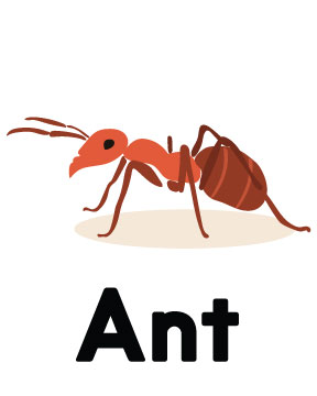 Morlinka “Guard Against” crystal mist displayed on a gray surface with natural wood and spices, reflecting protective and grounding energy.